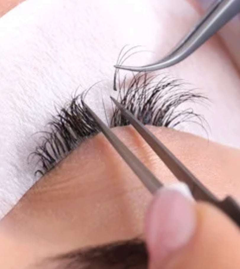 Beginner Eyelash Extension Online Course