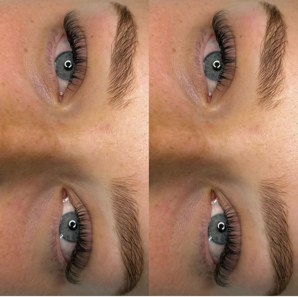 Complete Lash Artistry In-Person Class